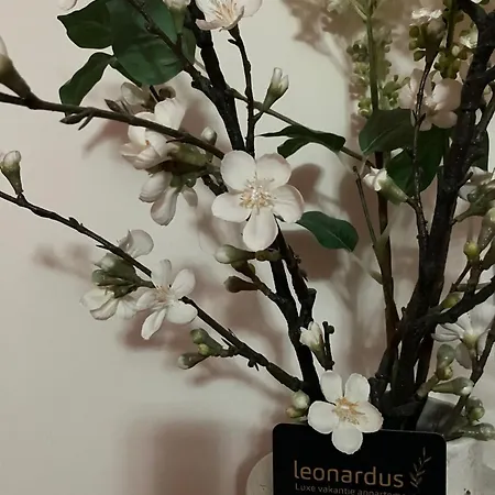 Luxe Leonardus